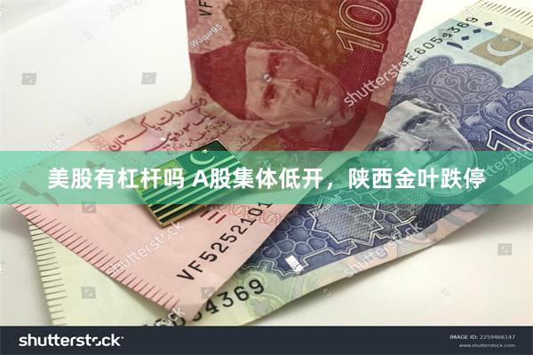 美股有杠杆吗 A股集体低开，陕西金叶跌停