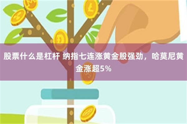 股票什么是杠杆 纳指七连涨黄金股强劲，哈莫尼黄金涨超5%