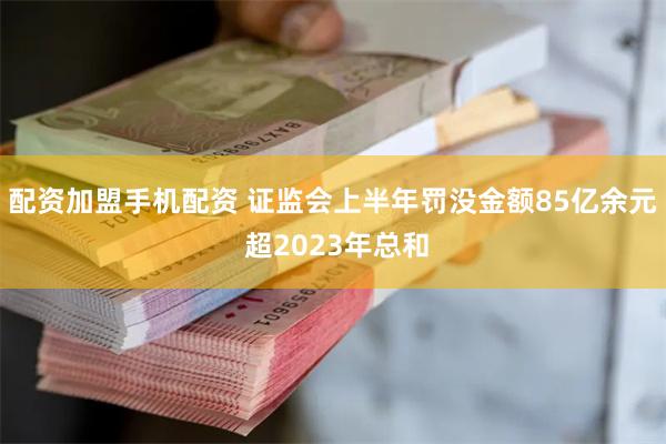 配资加盟手机配资 证监会上半年罚没金额85亿余元 超2023年总和