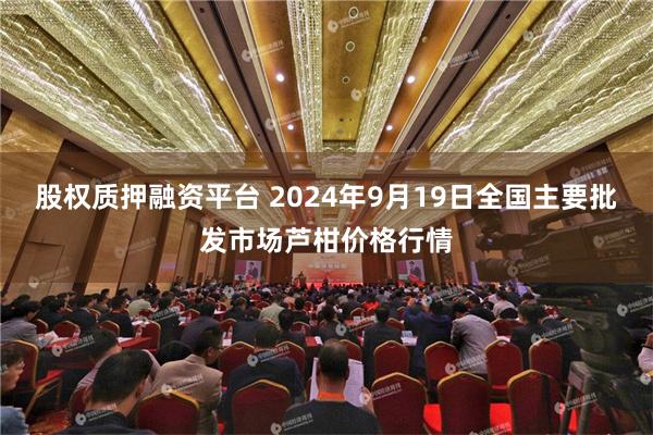 股权质押融资平台 2024年9月19日全国主要批发市场芦柑价格行情