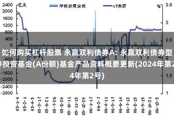 如何购买杠杆股票 永赢双利债券A: 永赢双利债券型证券投资基金(A份额)基金产品资料概要更新(2024年第2号)