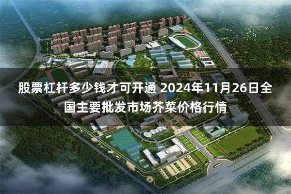 股票杠杆多少钱才可开通 2024年11月26日全国主要批发市场芥菜价格行情