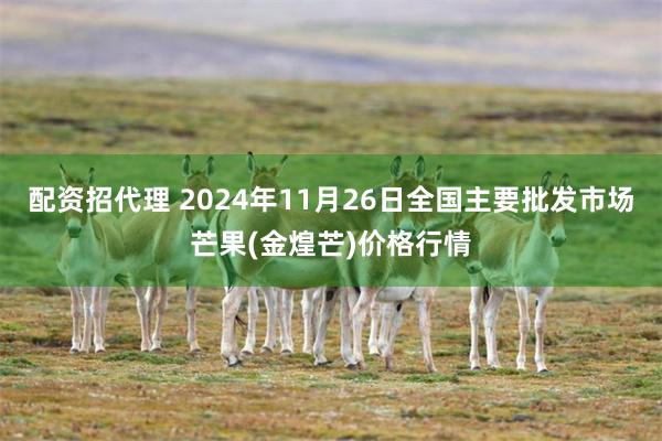 配资招代理 2024年11月26日全国主要批发市场芒果(金煌芒)价格行情