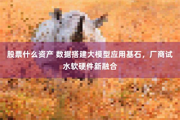 股票什么资产 数据搭建大模型应用基石，厂商试水软硬件新融合