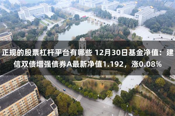 正规的股票杠杆平台有哪些 12月30日基金净值：建信双债增强债券A最新净值1.192，涨0.08%