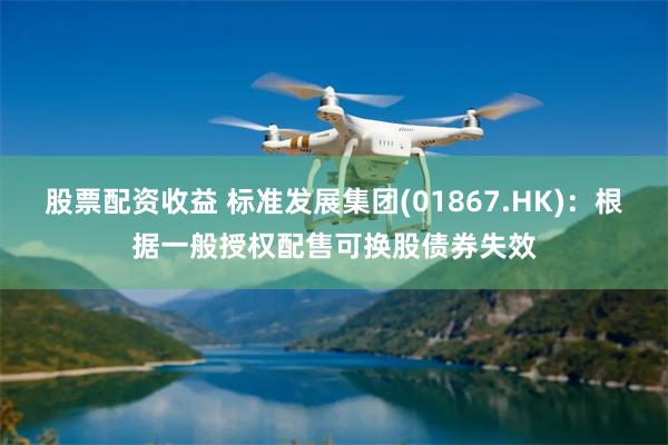 股票配资收益 标准发展集团(01867.HK)：根据一般授权配售可换股债券失效