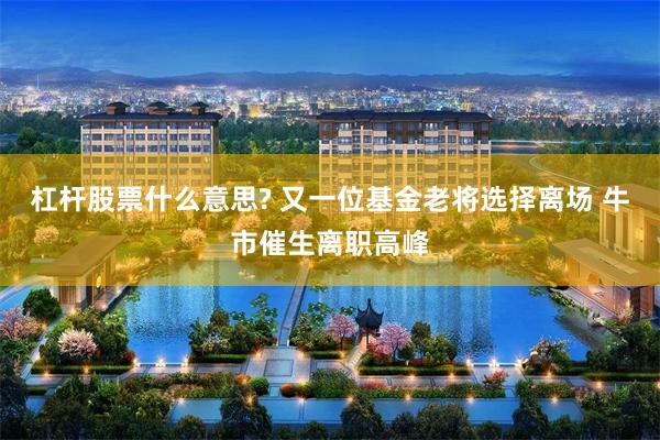 杠杆股票什么意思? 又一位基金老将选择离场 牛市催生离职高峰